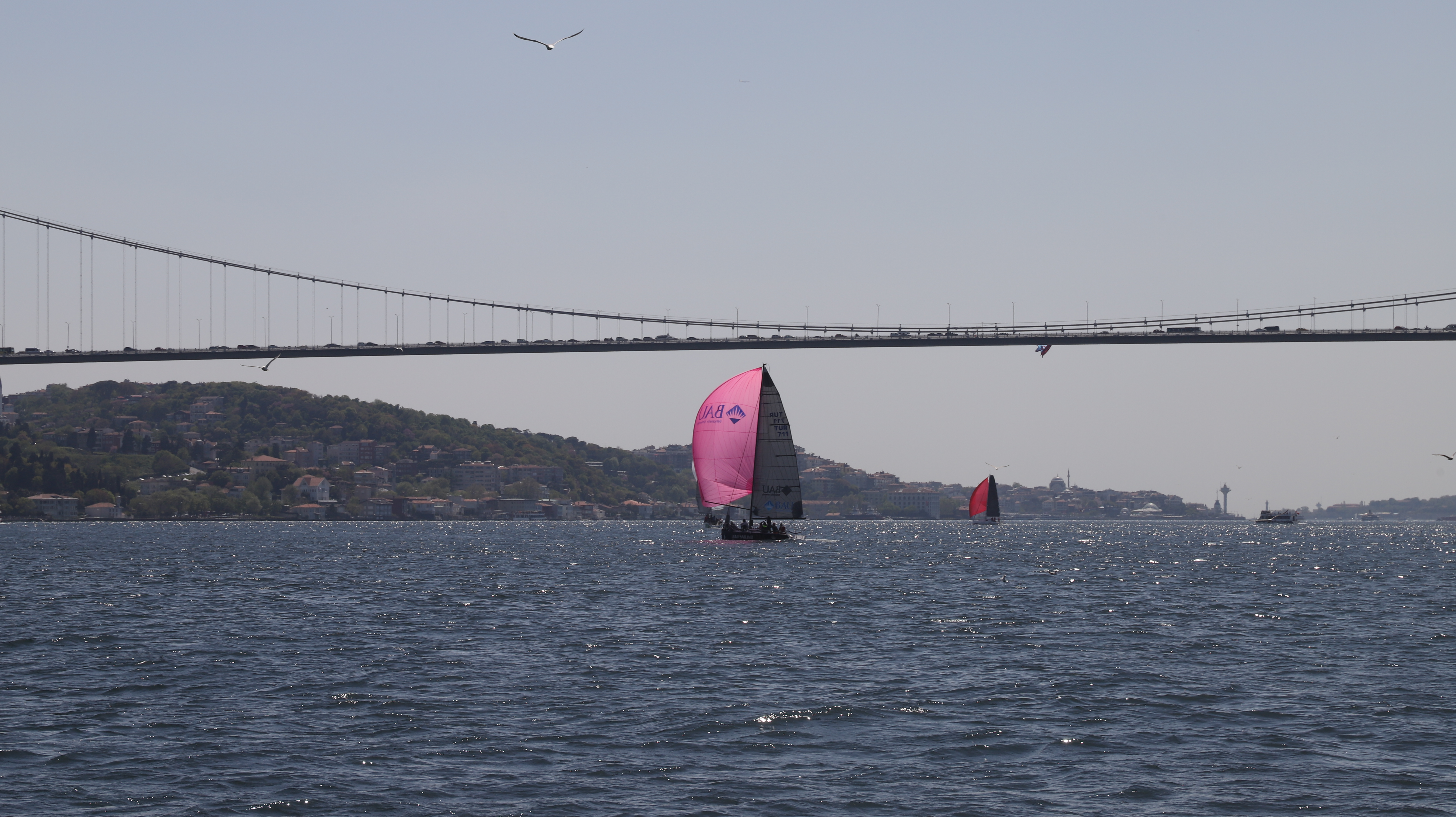 BAU Bosphorus Sailing Cup