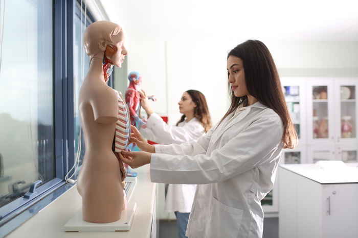 BAU SHMYO Laboratuvarlarımız