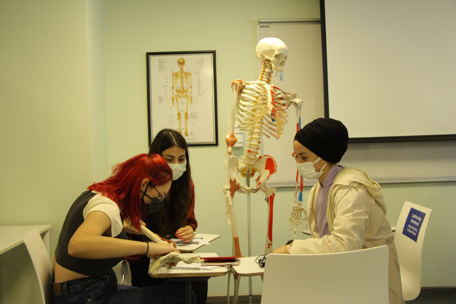 Beşiktaş Kuzey Yerleşkesi